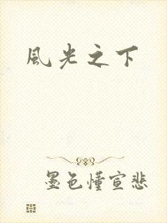风光之下封面