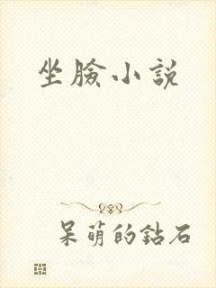 坐脸小说