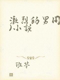 激烈的男同(h)小说