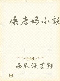 操老妈小说