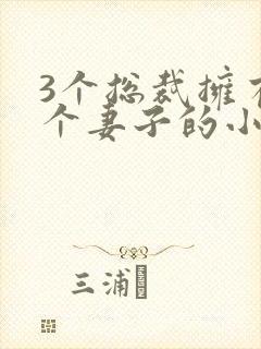 3个总裁拥有一个妻子的小说