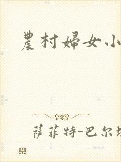 农村妇女小说封面