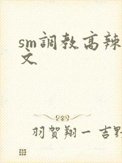 sm调教高辣h文