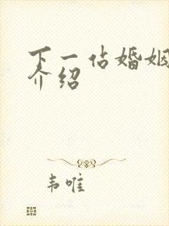 下一站婚姻剧情介绍