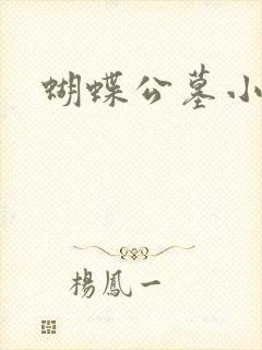 蝴蝶公墓小说封面