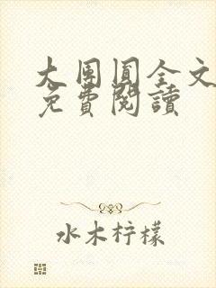 大团圆全文完整免费阅读