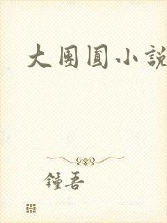 大团圆小说