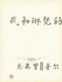 我和琳梵的故事