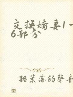 交换娇妻1一36部分