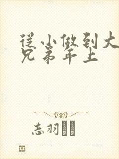 从小做到大骨科兄弟年上封面