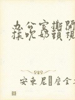 办公室撕开奶罩揉吮奶头视频