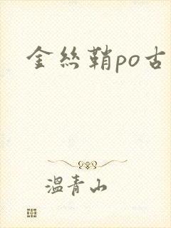 金丝鞘po古言