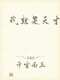 我就是天才封面
