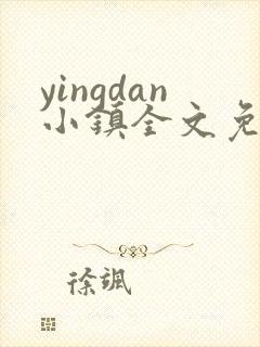 yingdan小镇全文免费阅读笔趣阁封面