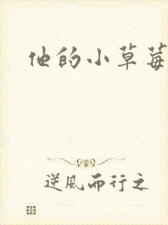 他的小草莓封面
