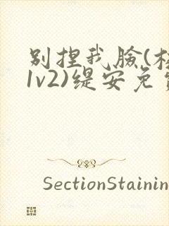 别捏我脸(校园1v2)缇安免费阅读