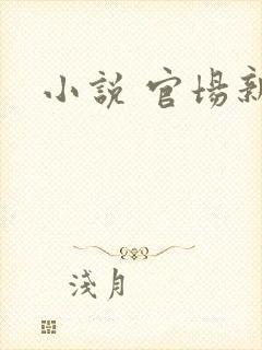 小说 官场新贵