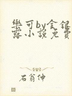 乐可by金银花露小说免费阅读封面
