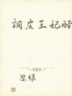 调皮王妃酷王爷
