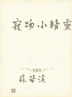 宠物小精灵漫画封面