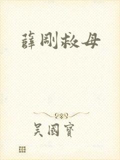 薛刚救母封面