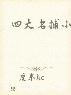 四大名捕小说