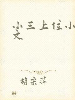 小三上位小说全文