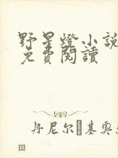 野星灯小说全文免费阅读封面