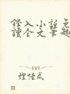 锋入小说免费阅读全文笔趣阁