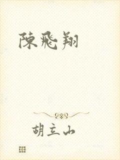 陈飞翔封面