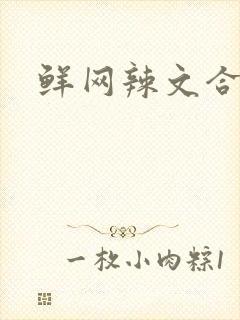 鲜网辣文合集封面
