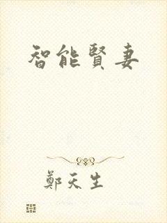 智能贤妻