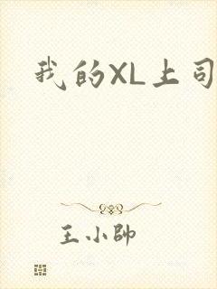 我的XL上司封面
