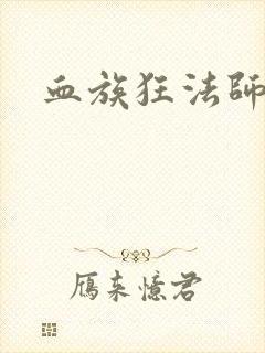 血族狂法师封面