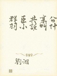 群臣共享公主银羽小说叫什么封面
