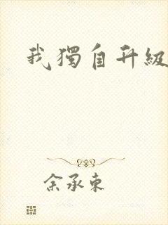 我独自升级