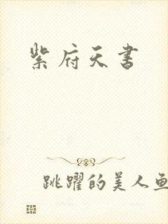 紫府天书