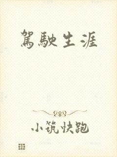 驾驶生涯