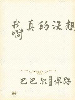 我真的没想重生啊封面