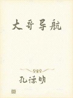 大哥导航