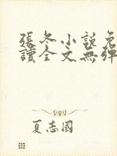 张冬小说免费阅读全文无弹窗封面