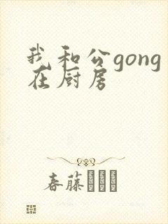 我和公gong在厨房封面