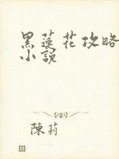 黑莲花攻略手册小说封面