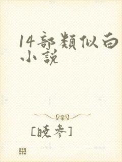 14部类似白洁小说封面