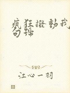 疯狂拨动我的小句号封面