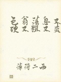 色翁荡息又大又硬又粗又爽电影封面