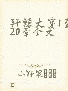 轩辕大宝1至720章全文封面