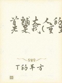 首辅大人的白月光是我(重生)封面