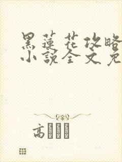 黑莲花攻略手册小说全文免费阅读笔趣阁封面