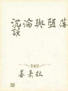 沉沦与堕落的小说封面